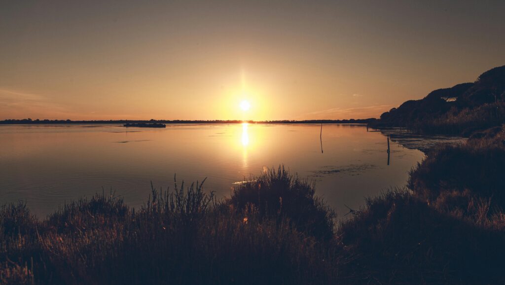 lac de biscarrosse